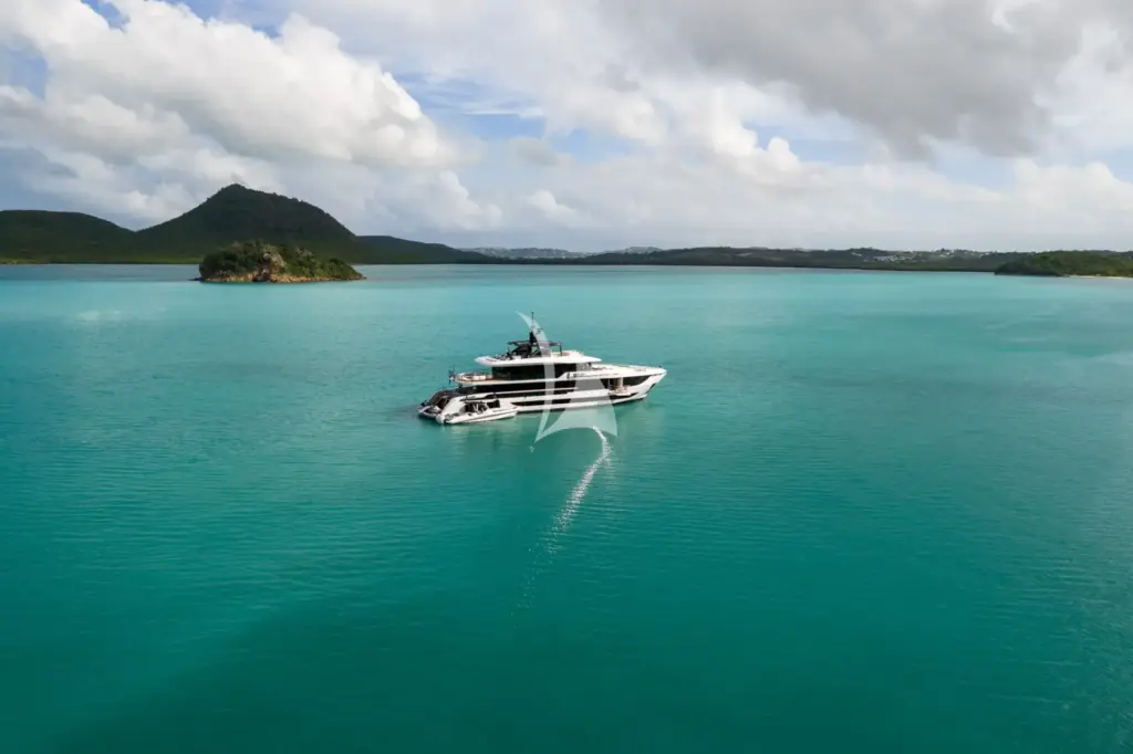 WHITE STAR - Image 4