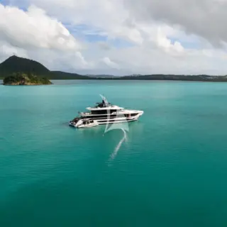 WHITE STAR - Image 4