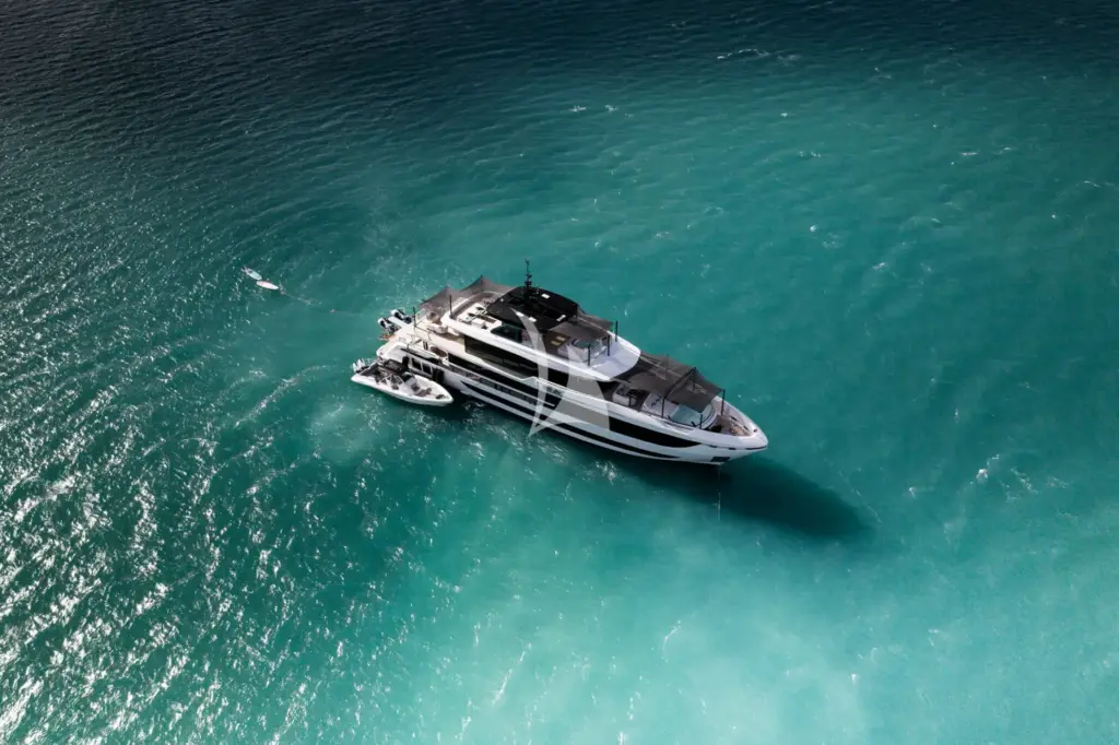 WHITE STAR - Image 3