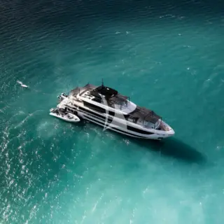 WHITE STAR - Image 3