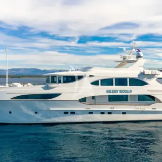 SILENT WORLD - Image 15