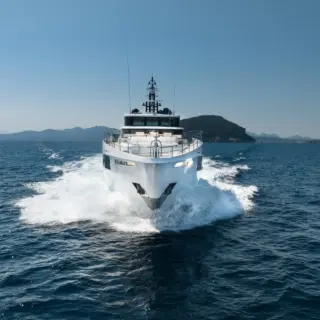 SANTOSH Majesty 100