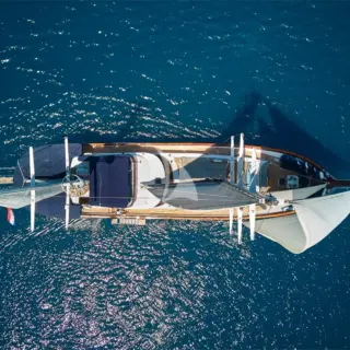 LOTUS - Image 15