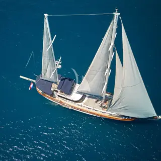 LOTUS - Image 14