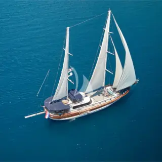 LOTUS - Image 5