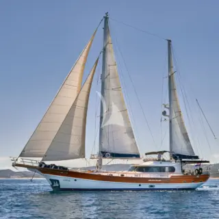 LOTUS - Image 1