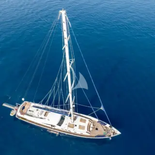 CANARIA - Image 3