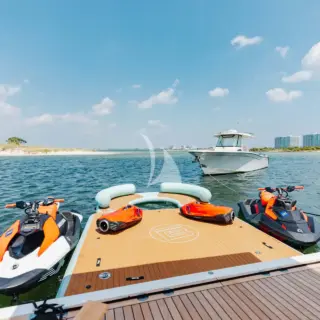 Swim Platform & Toys 