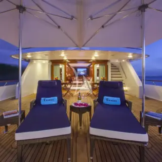 Bridge deck loungers