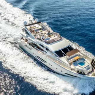 Dalia - Image 2