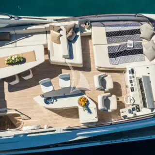 Dalia - Image 8