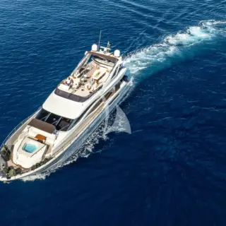 Dalia - Image 5