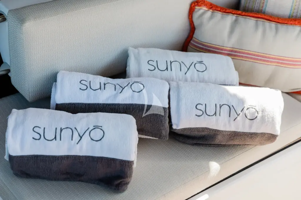 SUNYO - Image 4