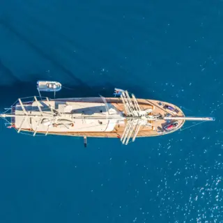 DAIMA - Image 17