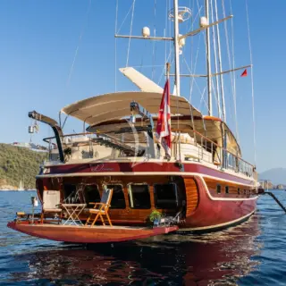 DAIMA - Image 18