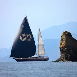DAIMA - Image 15