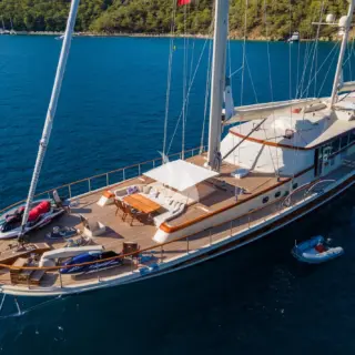 DAIMA - Image 19