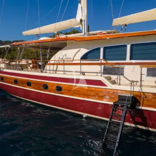 DAIMA - Image 6