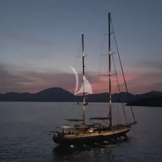 DAIMA - Image 2