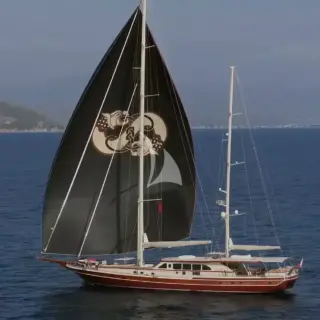 DAIMA - Image 1