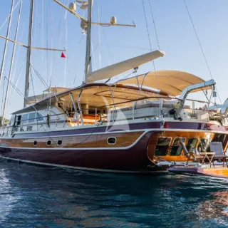 DAIMA - Image 7