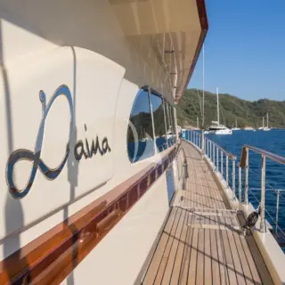 DAIMA - Image 12