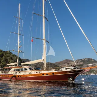 DAIMA - Image 3