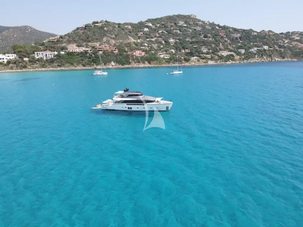 DRAGONFLY I - Image 3