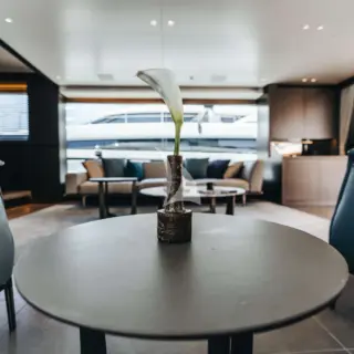 DRAGONFLY I - Image 19