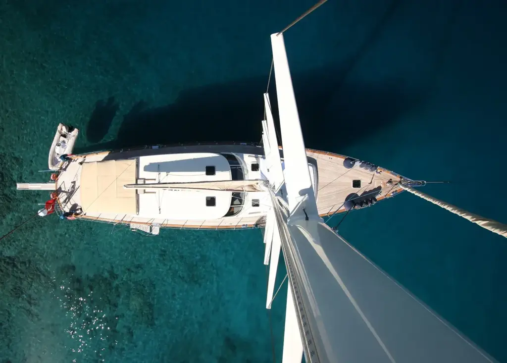 TANGO CHARLIE - Bird's Eye View