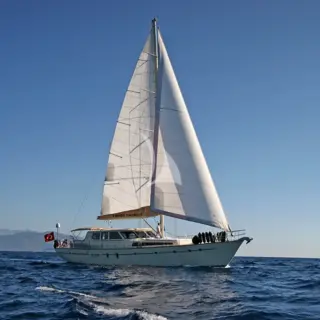 TANGO CHARLIE - Exterior