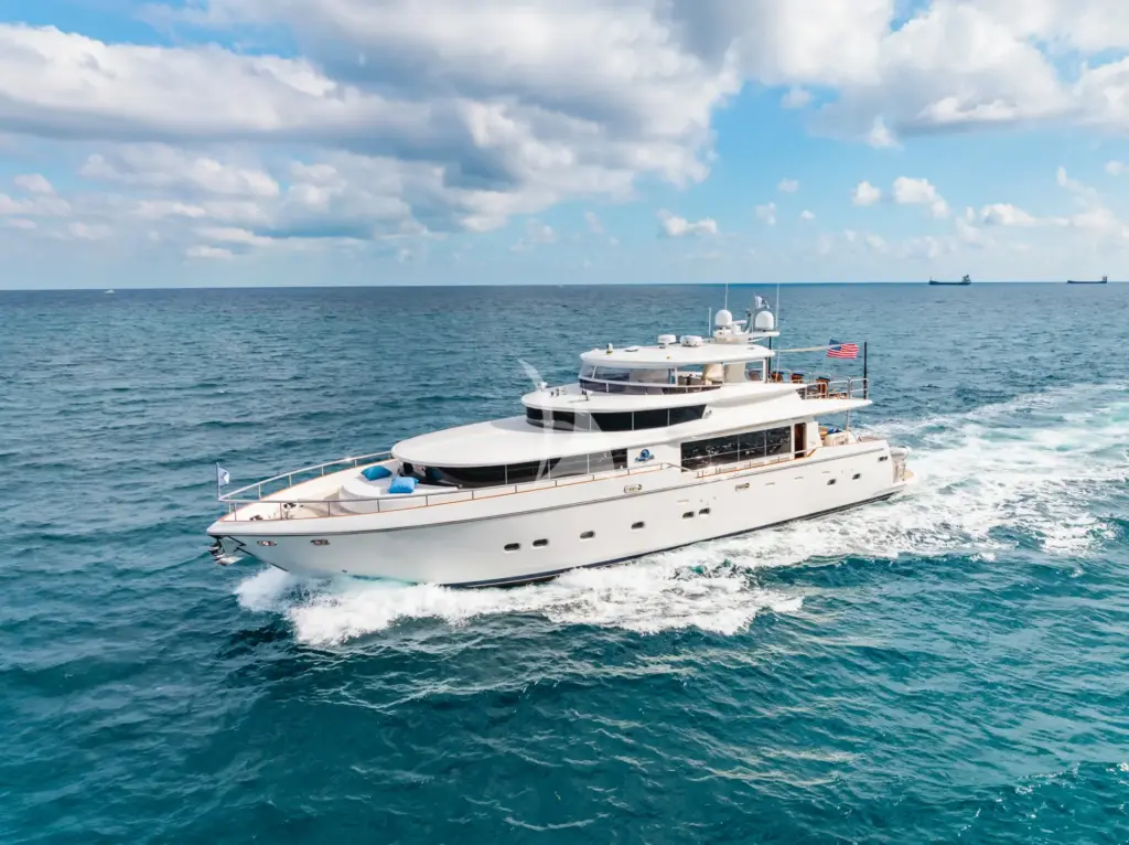 Southern Belle - Image 5