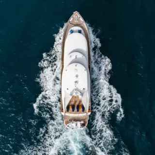 Southern Belle - Image 9