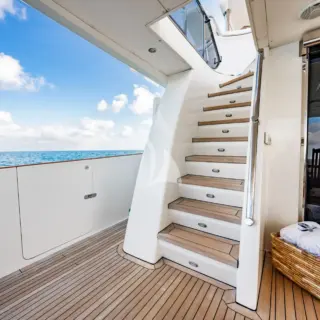 Southern Belle - Image 14