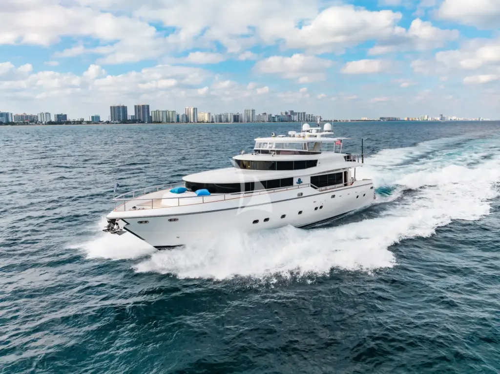 Southern Belle - Image 4