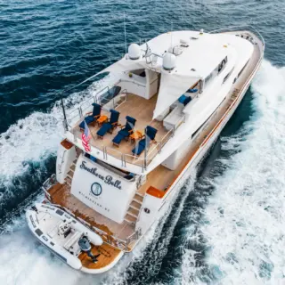 Southern Belle - Image 8