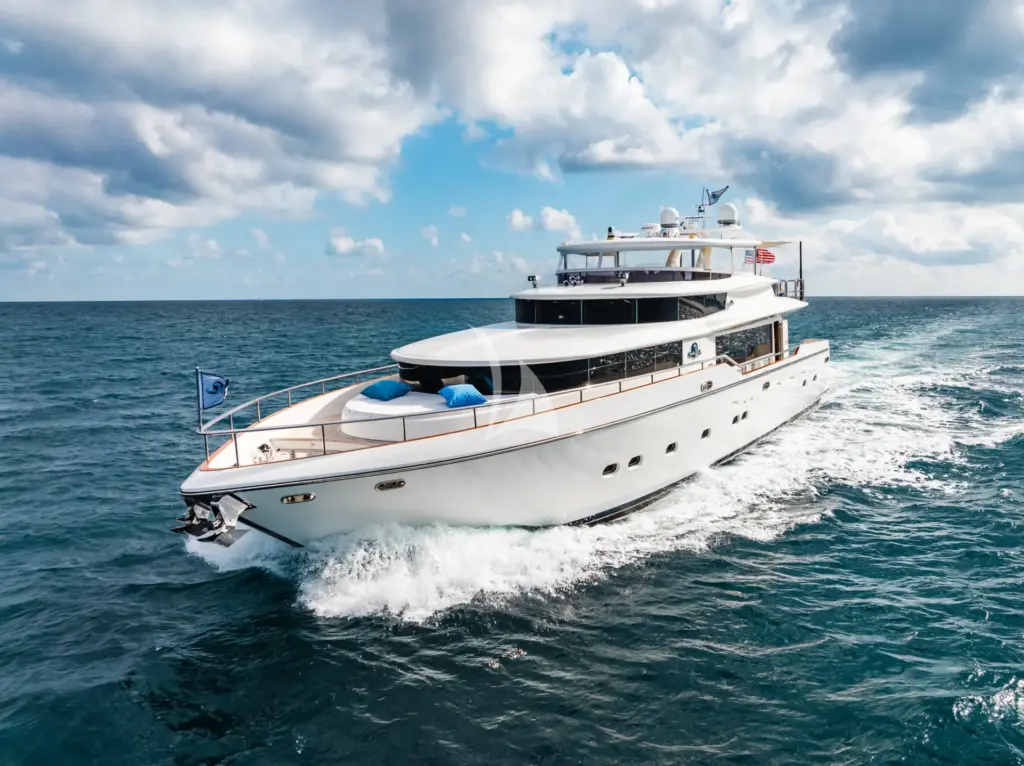 Southern Belle - Image 3