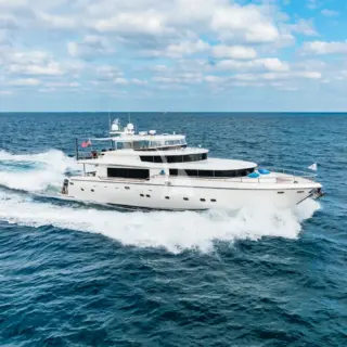 Southern Belle - Image 6