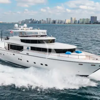 Southern Belle - Image 1