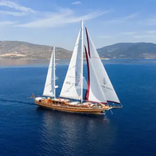 TAKE IT EASIER - Profile at sail