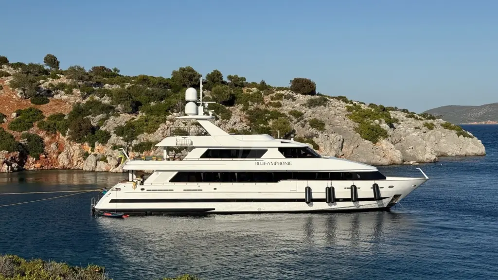 BLUE SYMPHONIE - Image 2