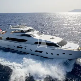 PANFELISS - Image 15