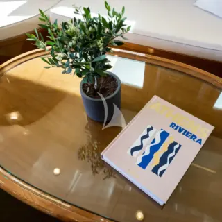 ARKTOS - Coffee table