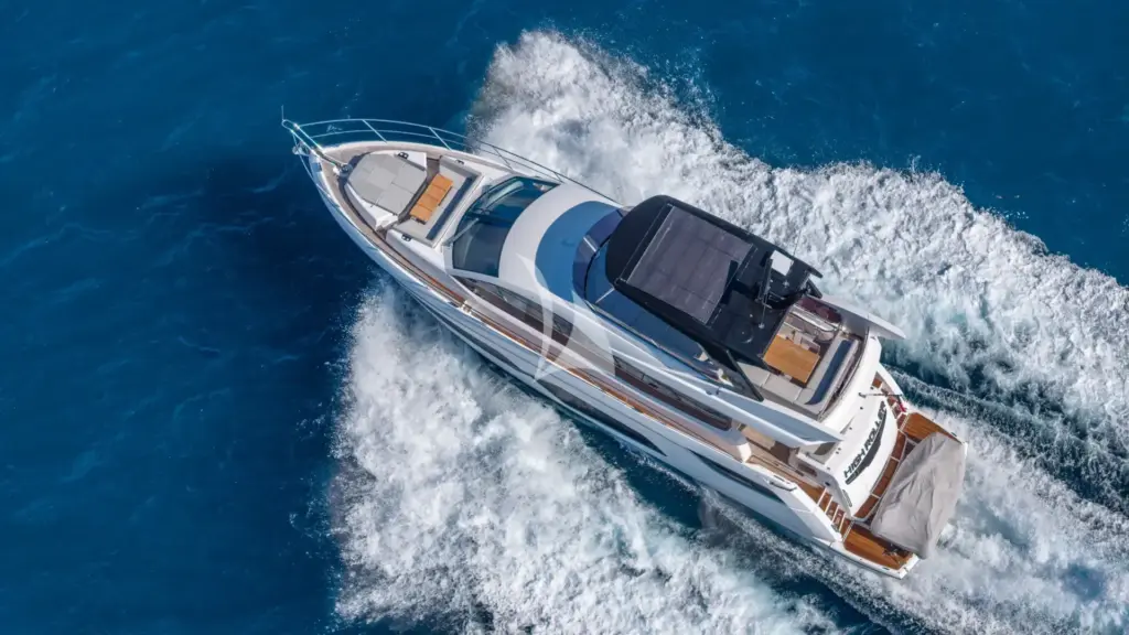 HIGH ROLLER - Image 2