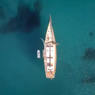 PERSEVERANCE 1 - Image 3