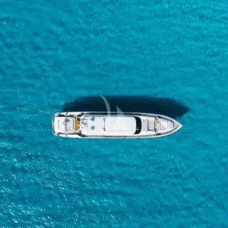 BLUE DEVIL - Image 13