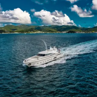 BLUE DEVIL - Image 1