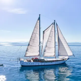 WHITE PEARL - Image 9