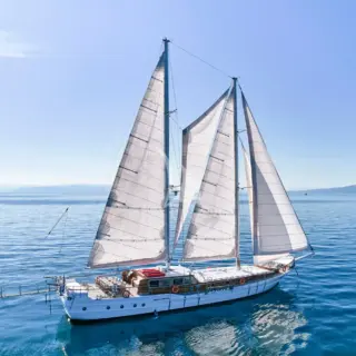 WHITE PEARL - Image 8