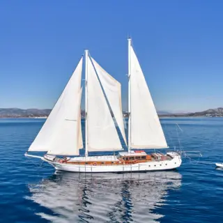 WHITE PEARL - Image 14